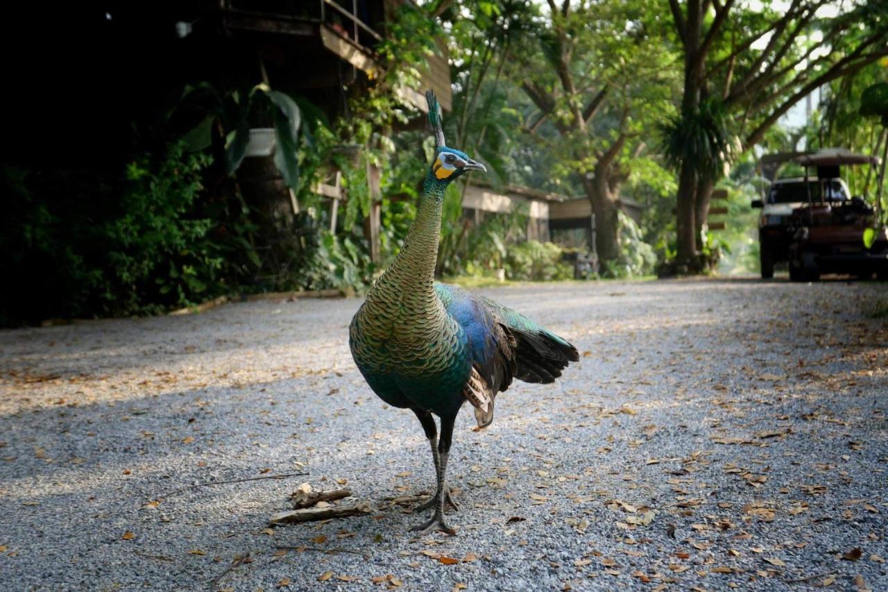 Kenaray Farmstay Riverside Kaeng Krachan Exterior photo